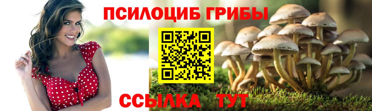 Псилоцибиновые грибы мицелий  Псилоцибиновые грибы GOLDEN TEACHER  Вход с VPN  Норильск 