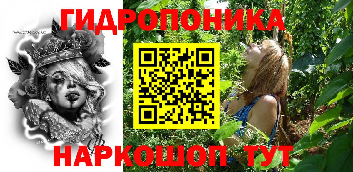 Каннабис Bruce Banner  МАРИХУАНА VHQ  Бошки Шишки конопля  Норильск  Вход с VPN 